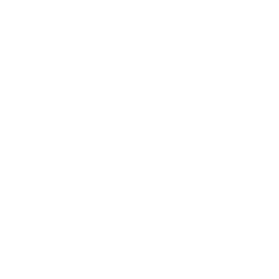 Llamacorn Sleigh
