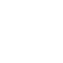Houdini