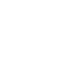 Bone Breaker