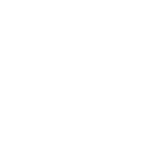 The Renegade