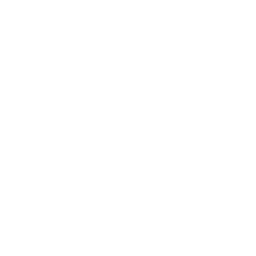 Boomerang