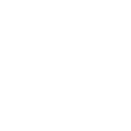 Fully-Hollowfied