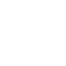 Metamorphosis