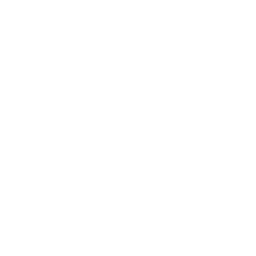 Portal Bomb