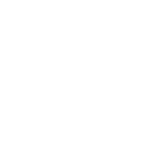 The Macarena