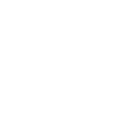 Kindness Punk