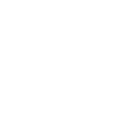 Lil' Resistance Bomber