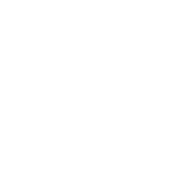 Mine