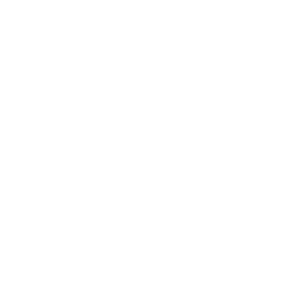 Spinback