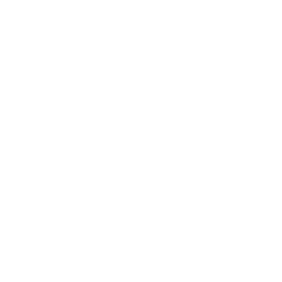 Stand Surfer