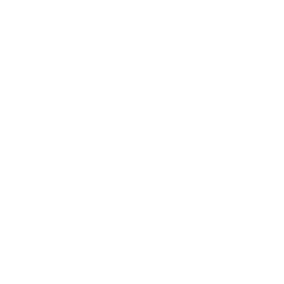 Shadow Vox