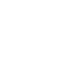 Clean Up