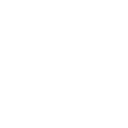 The Profiler 