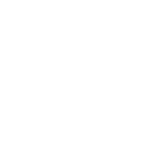The Quick Style