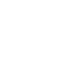 Swag Shuffle
