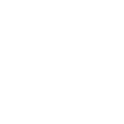 One-Inch Punch