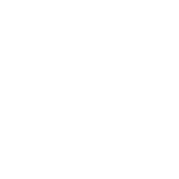 Fist Bump