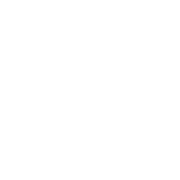 Guardian's Parade