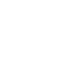 Lil' Circuit Racer