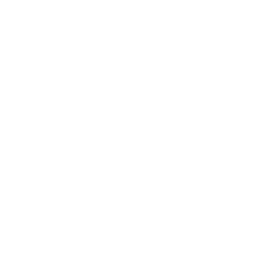 Wednesday's Dance