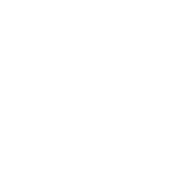 Coffin