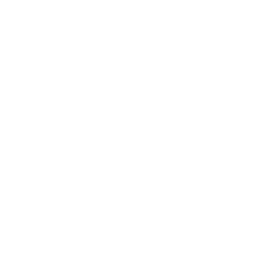 Wasteland Rock