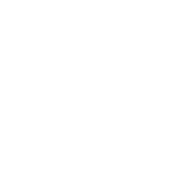 Ninja Stance: Donnie