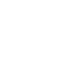 Shadow Summoner