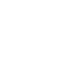 Sonic Surfer
