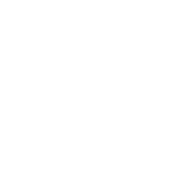 Interstellar Bass