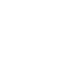 Disassemble