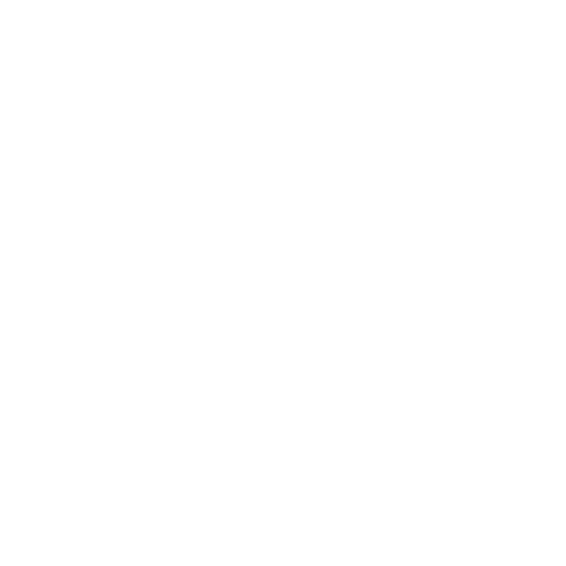 Lil' Rover