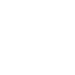 Nanite Flex
