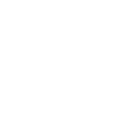 What's Up Sketch? (Point)