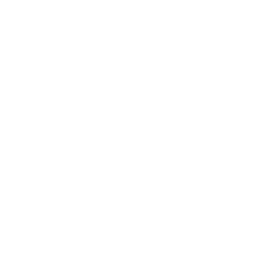 Sign Spinner