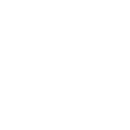 Black Hole Roller
