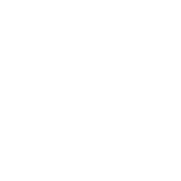 Curling Match