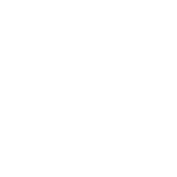 Around the World
