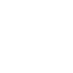 Smashin' Serve