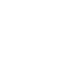 Champion's Blade-Splitter