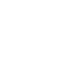 Surf's Up!