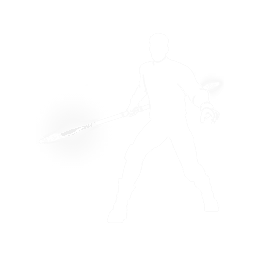 Force Lance Flourish