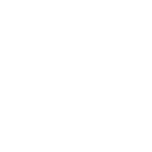 Ninja Style