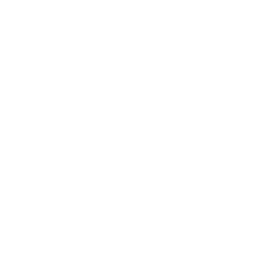Battle of the Bows