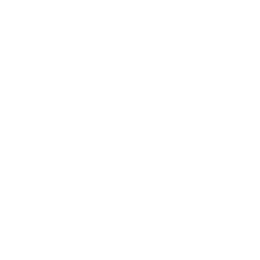 Cyberdyne Salute