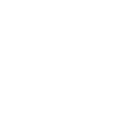 Shadow Play: Toad