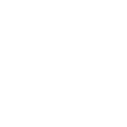 I Lied, I'm Sorry