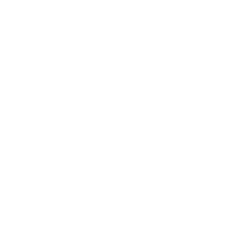 Anodite Evolution