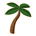 Palm Tree