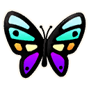 Rainbowfly